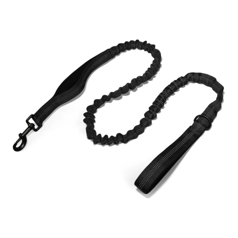 Personalised Dog Leash - Black