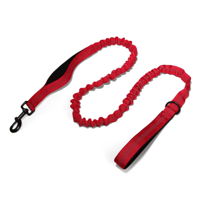 RED Personalised Dog Harness - Comfy, Custom & Cute