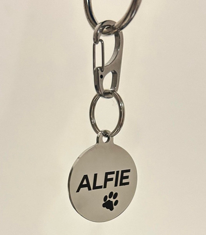 Quick Clip for Dog Tags
