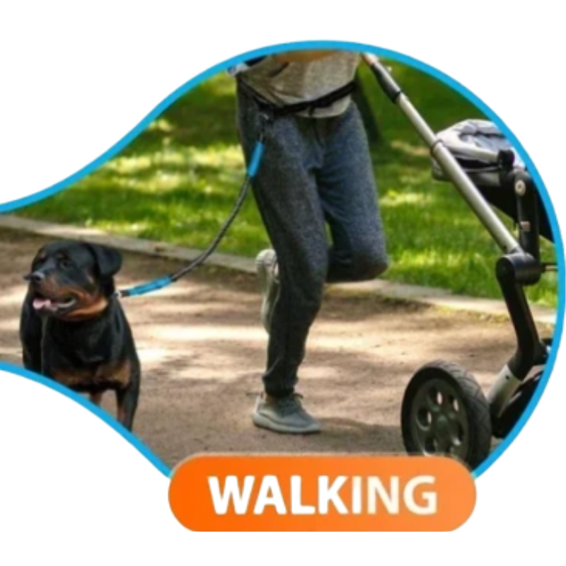 a man pushing a pram and walking his dog at the same time using a hands free dog leash