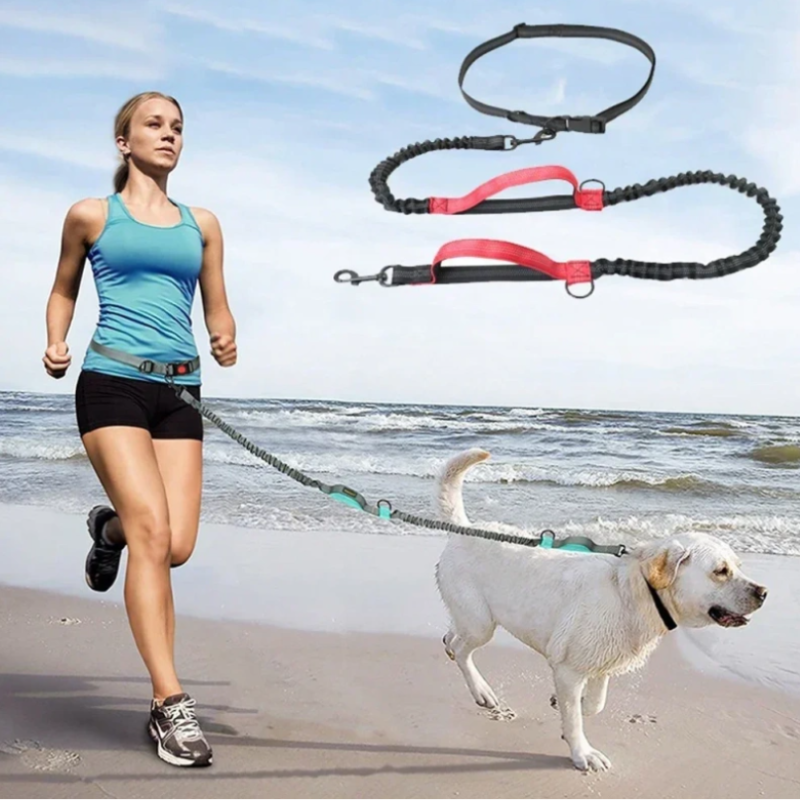 A girl using a hands free dog leash jogging on the beach with her dog