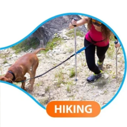 a lady hiking and walking her dog wearing a hands free dog leash