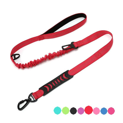 Bungee Dog Leash with Car Seat Belt Clip