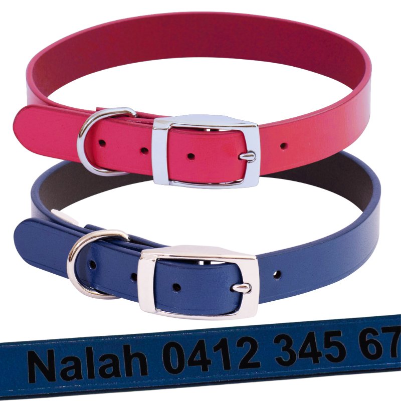 Stylish Personalised Dog Collar Classic Leather in red and blue, crafted from genuine leather for comfort and durability.