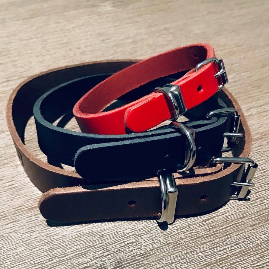 Personalised Dog Collar Classic Leather in classic colors, perfect for stylish pet owners, with free delivery Australia wide.