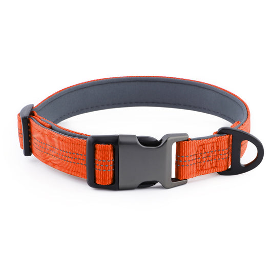 An orange nylon dog collar with a black plastic quick-release buckle and a black metal ID tag ring, shown on a white background.