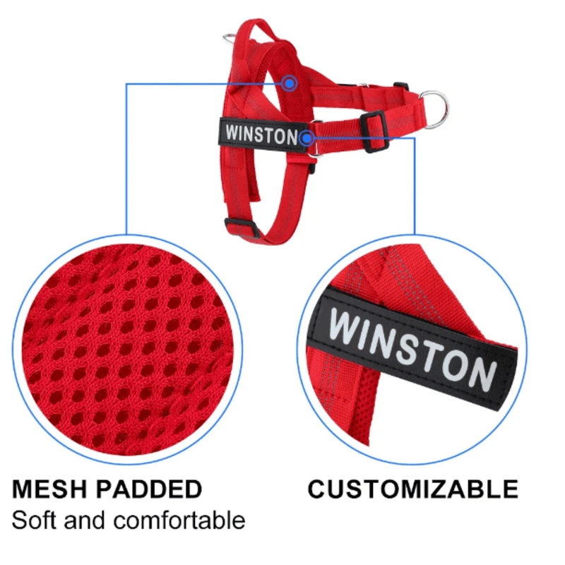 Personalised Harness - Red
