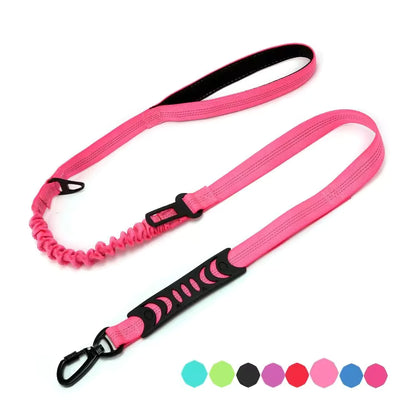 Bungee Dog Leash with Car Seat Belt Clip