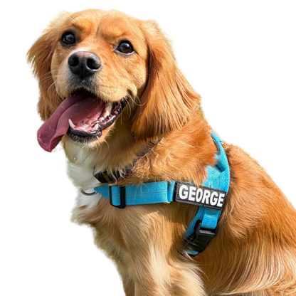 Pink Personalised Dog Harness