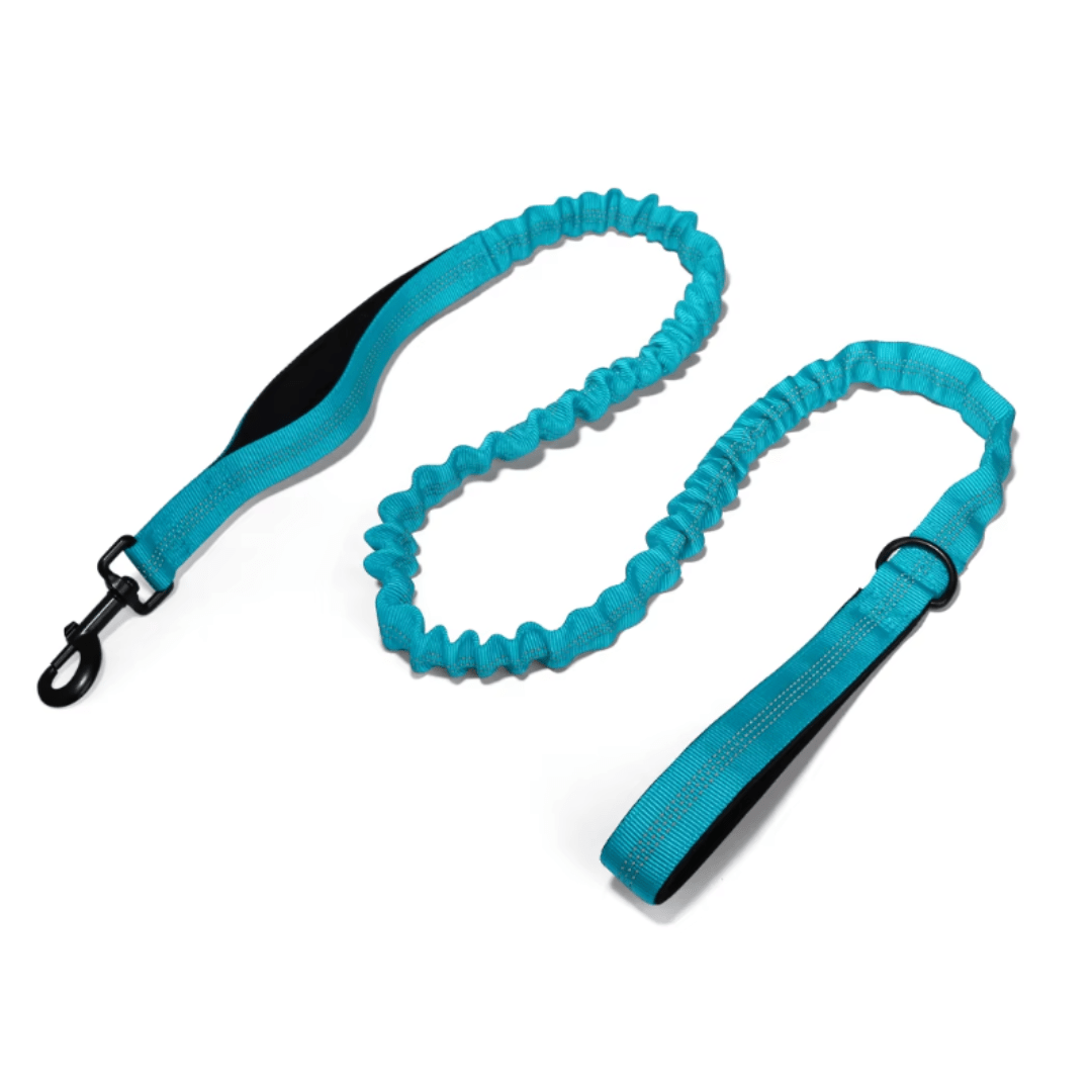 Bungee Dog Lead - Pet ID Tags