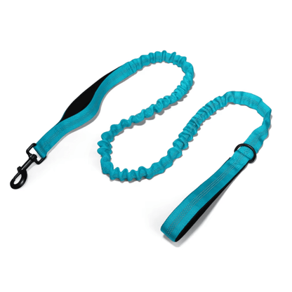 Bungee Dog Lead - Pet ID Tags