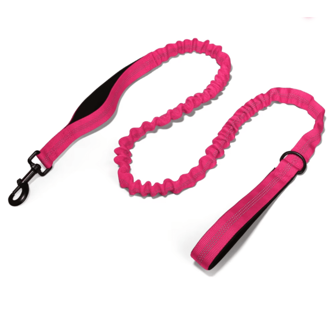 Bungee Dog Lead - Pet ID Tags