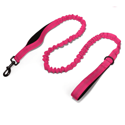 Bungee Dog Lead - Pet ID Tags