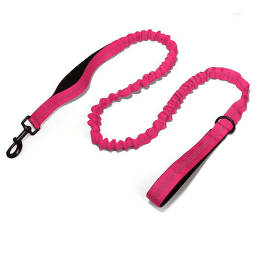 Bungee Dog Lead - Pet ID Tags