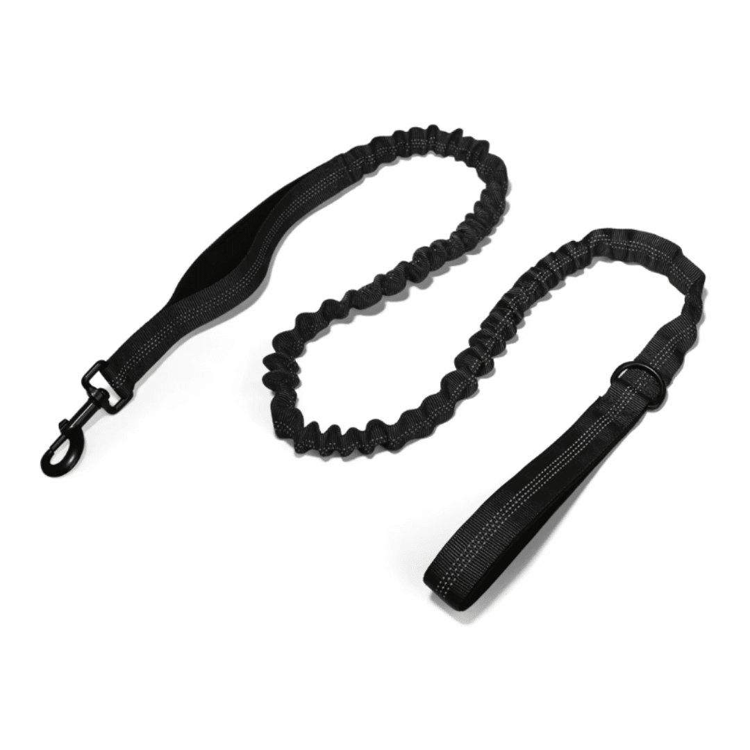 Bungee Dog Lead - Pet ID Tags