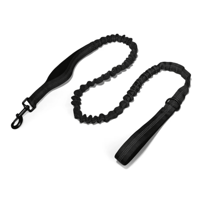 Bungee Dog Lead - Pet ID Tags