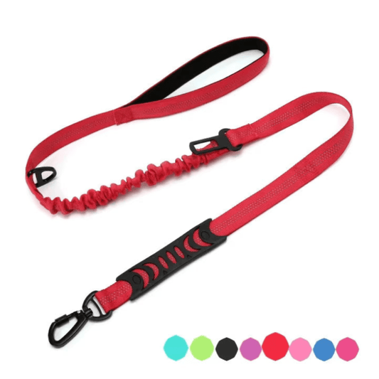 Bungee Dog Leash with Car Seat Belt Clip - Pet ID Tags