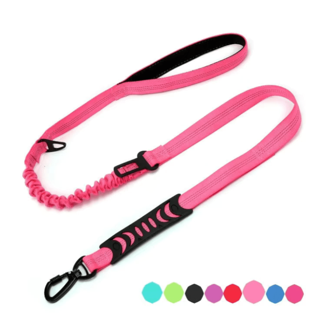 Bungee Dog Leash with Car Seat Belt Clip - Pet ID Tags