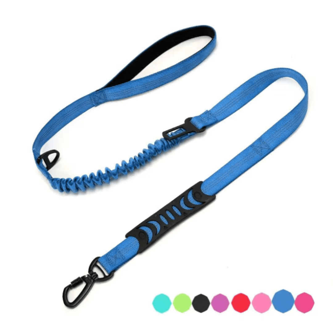 Bungee Dog Leash with Car Seat Belt Clip - Pet ID Tags