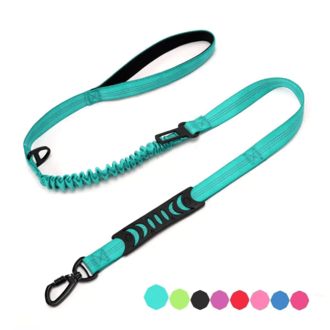 Bungee Dog Leash with Car Seat Belt Clip - Pet ID Tags