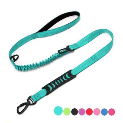 Bungee Dog Leash with Car Seat Belt Clip - Pet ID Tags