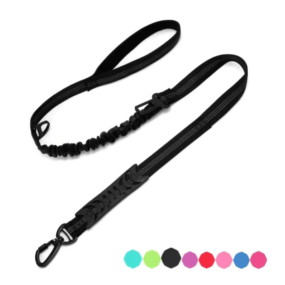 Bungee Dog Leash with Car Seat Belt Clip - Pet ID Tags