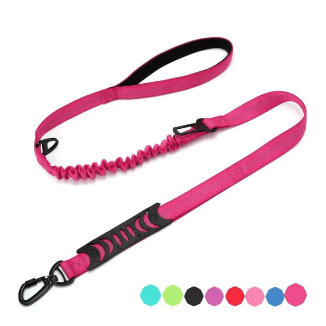 Bungee Dog Leash with Car Seat Belt Clip - Pet ID Tags