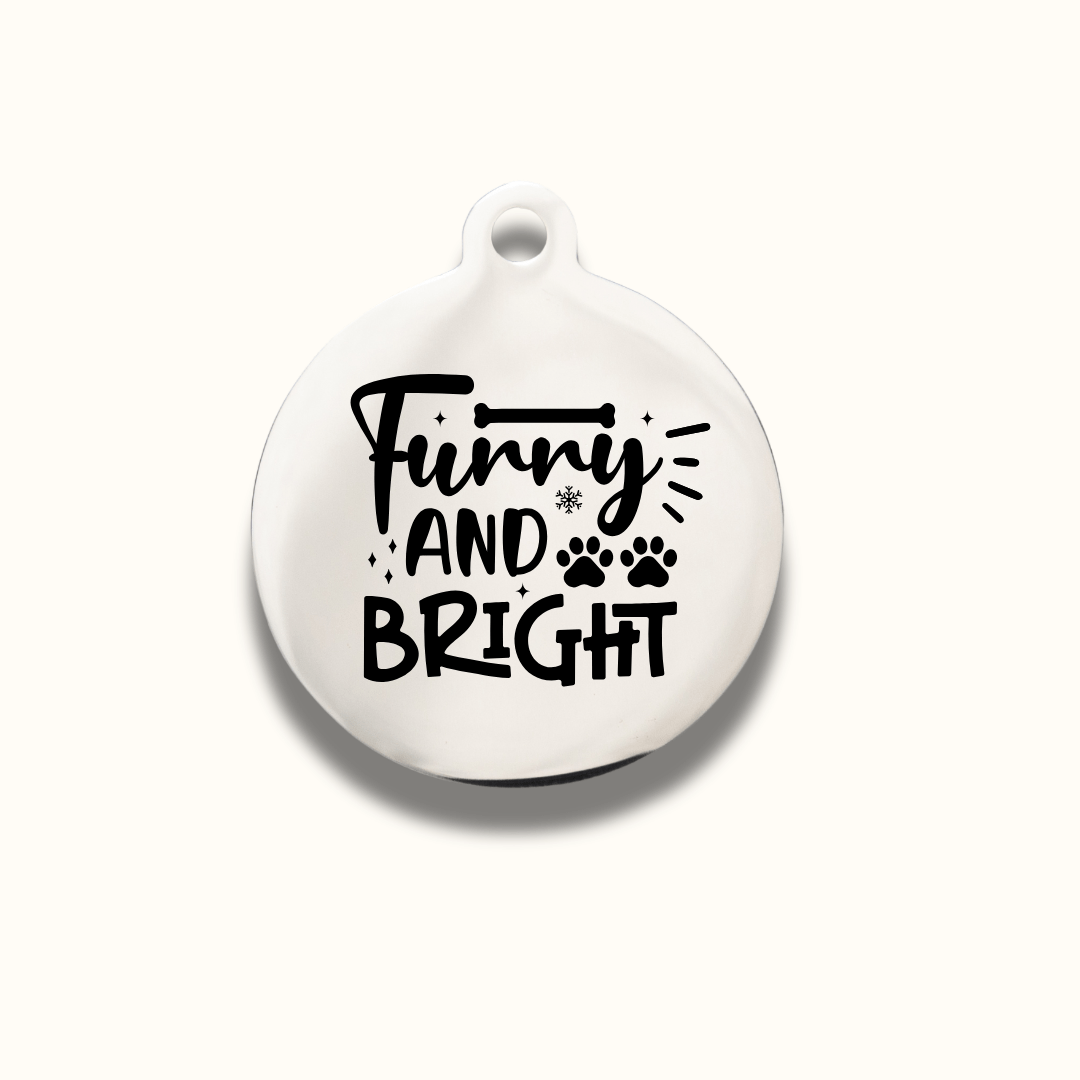 Christmas Round Pet Name Ornament – Stainless Steel - Pet ID Tags