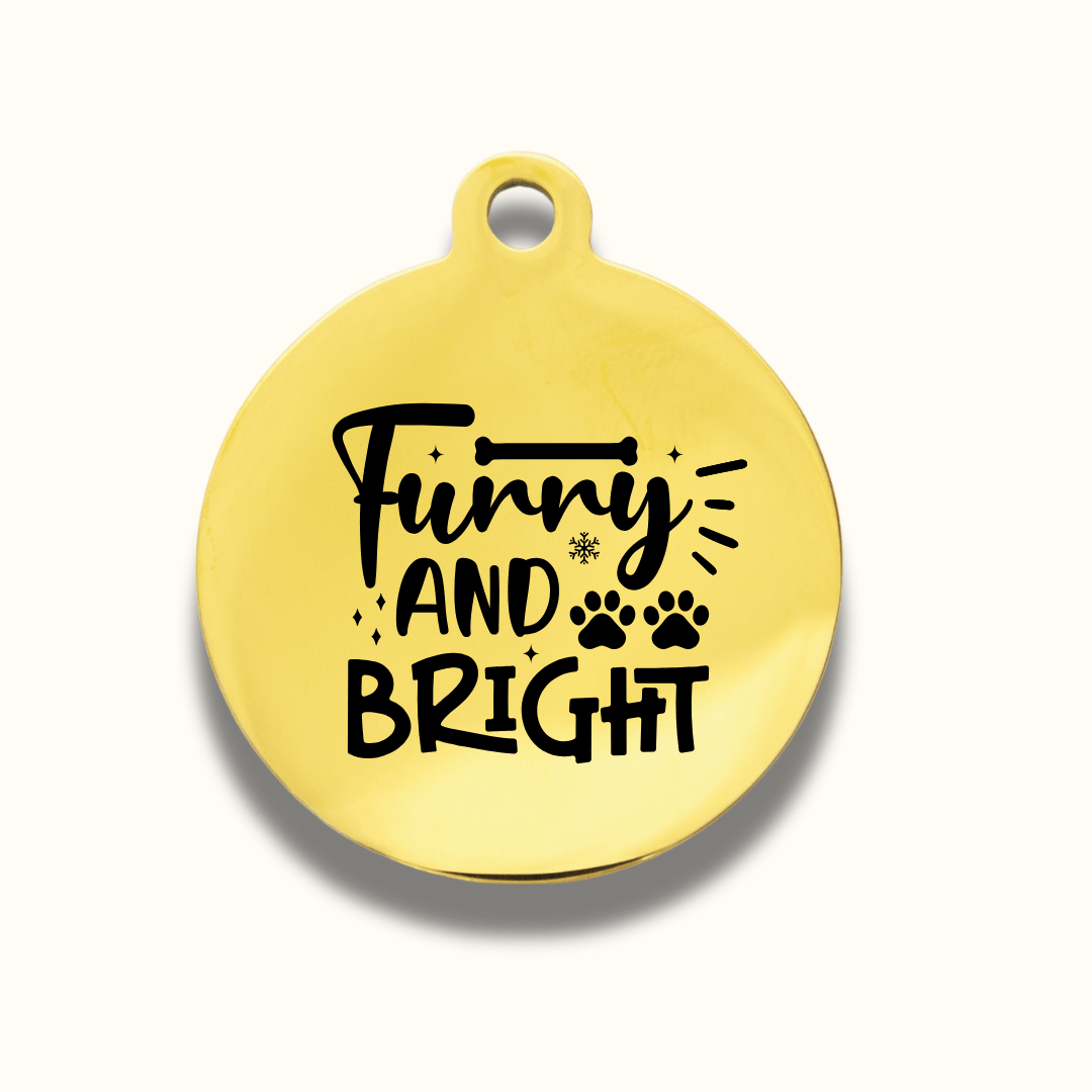Christmas Round Pet Name Ornament – Stainless Steel - Pet ID Tags