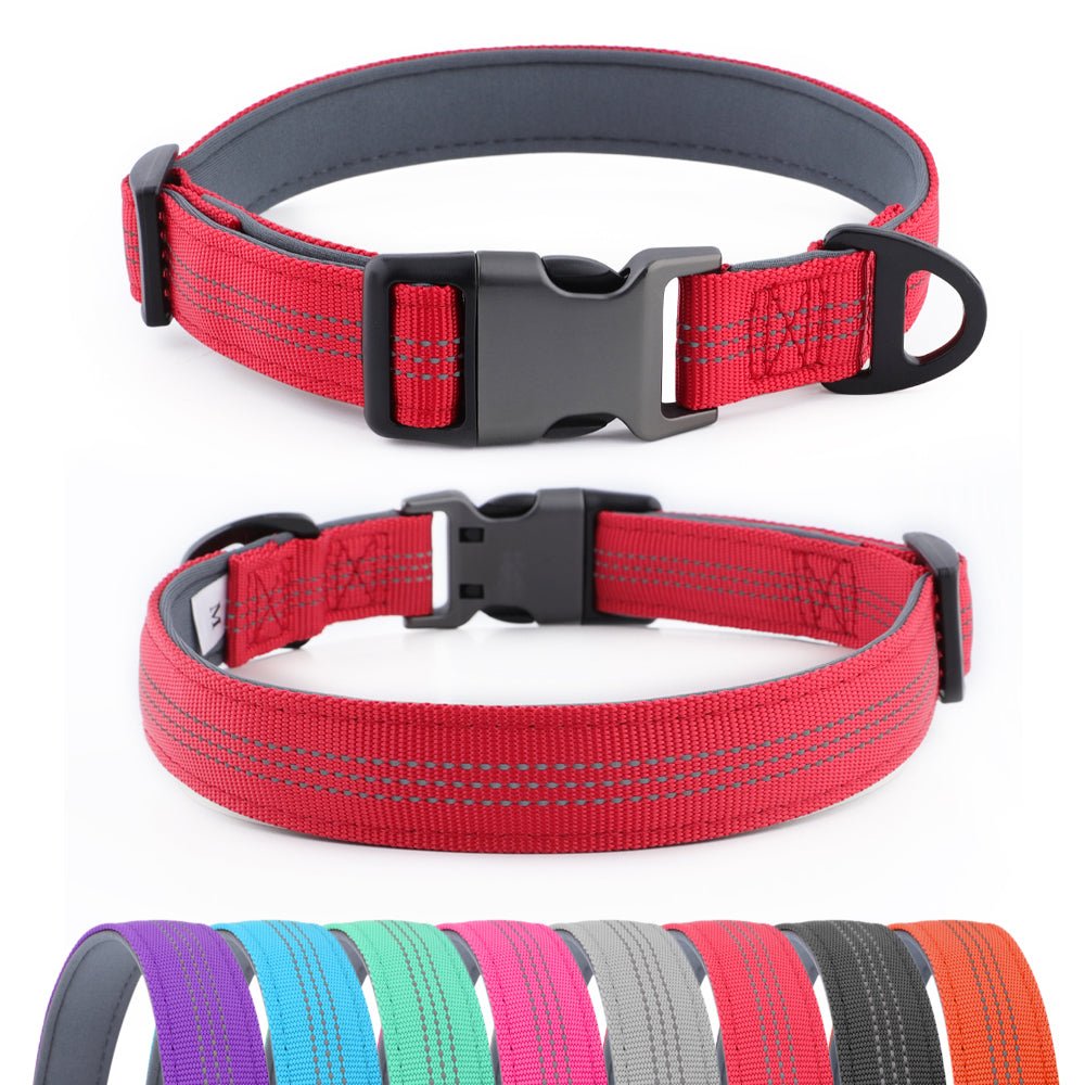Custom Reflective Dog Collar – Personalised with Name - Pet ID Tags
