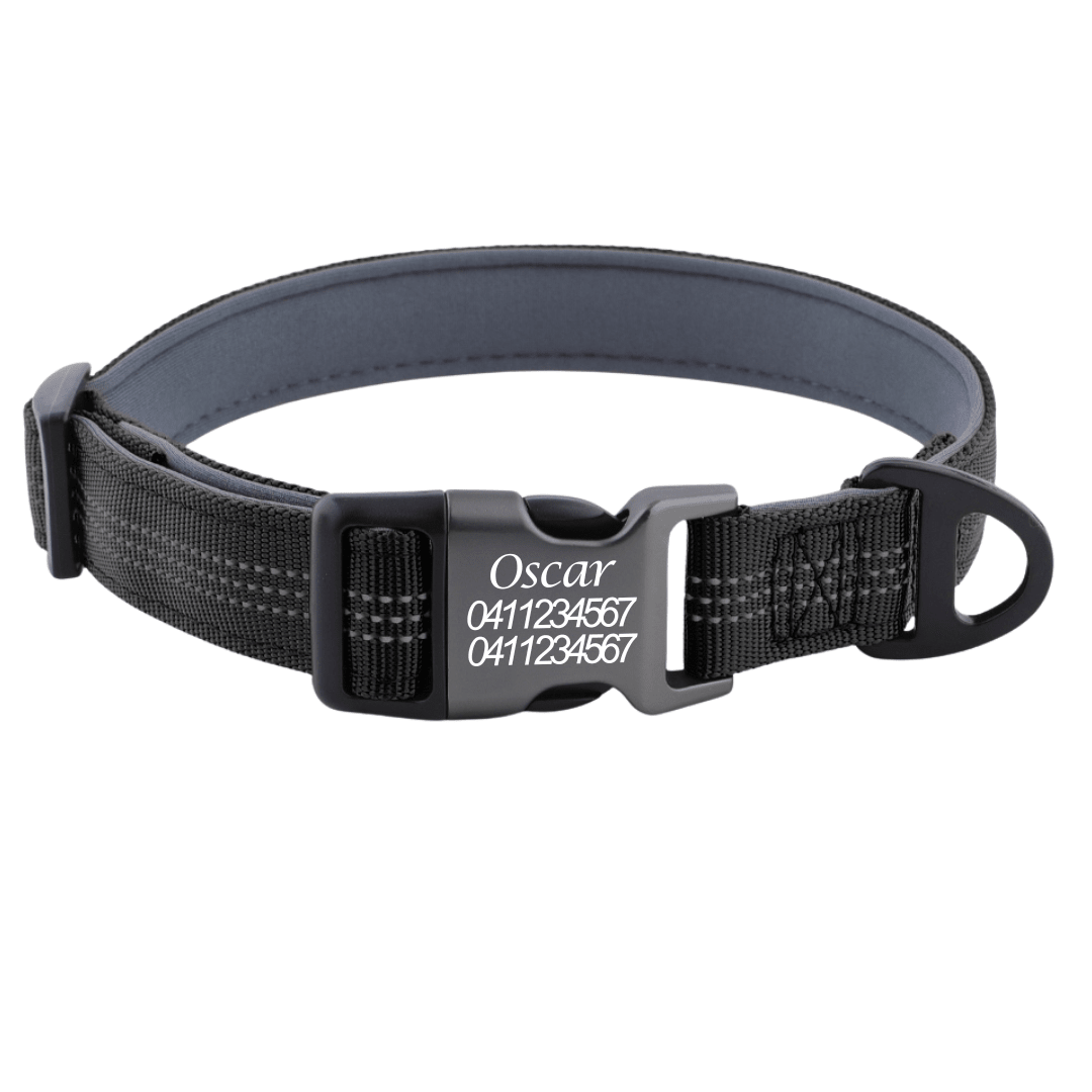 Custom Reflective Dog Collar – Personalised with Name - Pet ID Tags