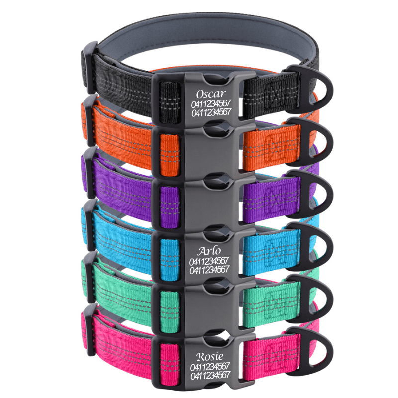 Custom Reflective Dog Collar – Personalised with Name - Pet ID Tags