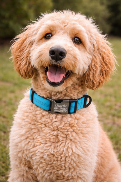 Black Personalised Reflective Dog Collar