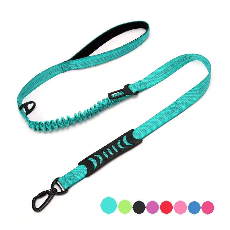 Bungee Dog Leash with Car Seat Belt Clip