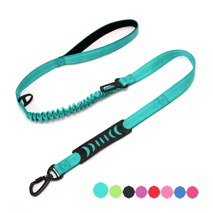 Bungee Dog Leash with Car Seat Belt Clip