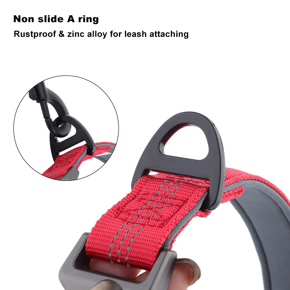 Dog Collar — Neoprene, Nylon & Padded Reflective - Pet ID Tags