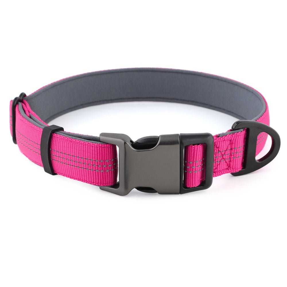 Dog Collar — Neoprene, Nylon & Padded Reflective - Pet ID Tags