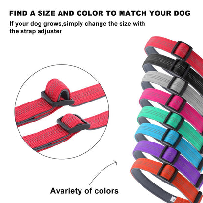 Dog Collar — Neoprene, Nylon & Padded Reflective - Pet ID Tags