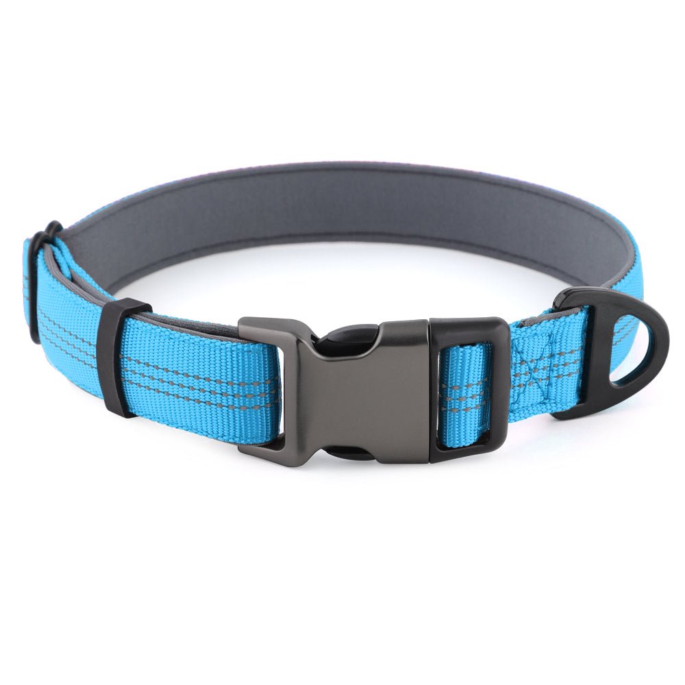 Dog Collar — Neoprene, Nylon & Padded Reflective - Pet ID Tags