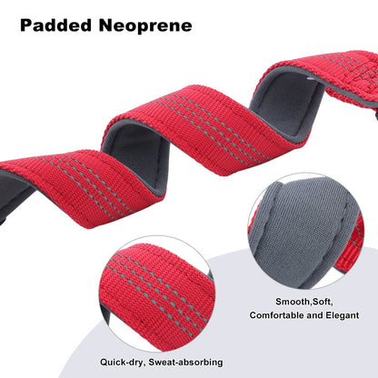 Dog Collar — Neoprene, Nylon & Padded Reflective - Pet ID Tags