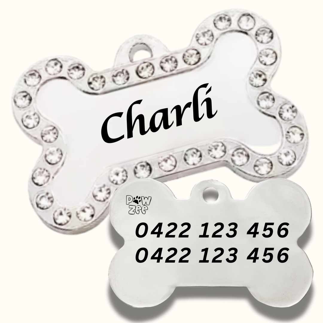 Dog Tags Stainless Steel Bling Bone - SILVER - Pet ID Tags