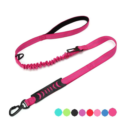 Bungee Dog Leash with Car Seat Belt Clip