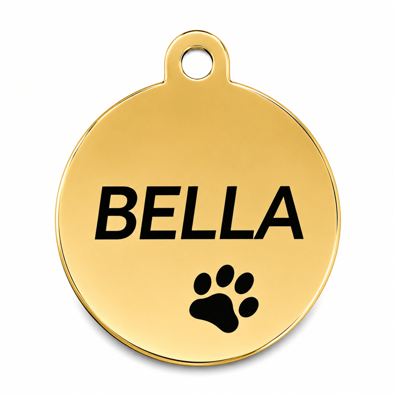 A round gold-colored metal pet ID tag with a hanging loop at the top, featuring the name 'BELLA' engraved in bold black lette