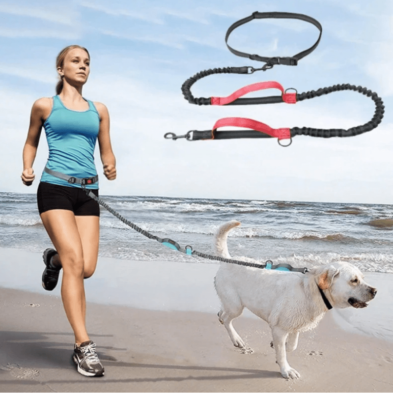 A girl using a hands free dog leash jogging on the beach with her dog