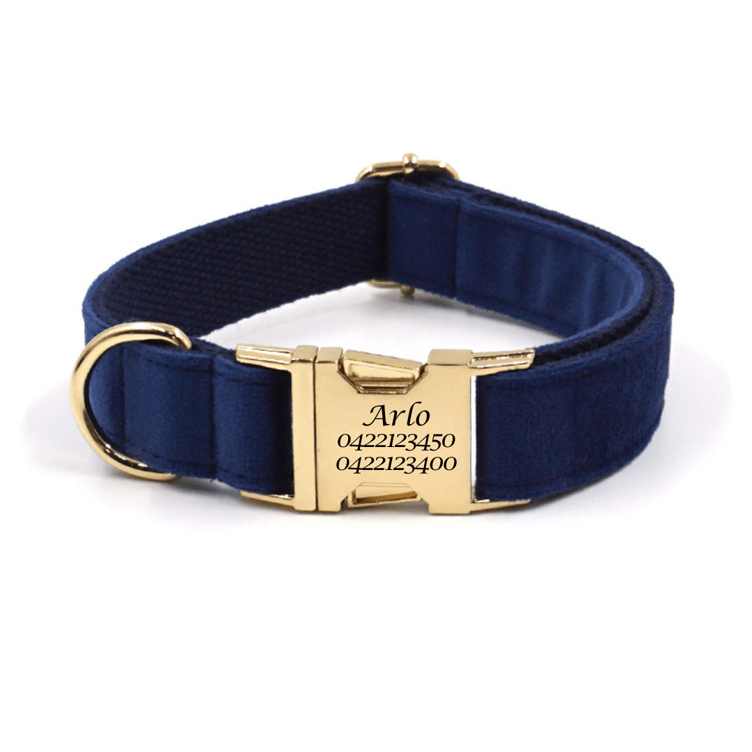 Luxury Velvet Dog Collar – Custom Engraved | Soft, Padded & Adjustable - Pet ID Tags