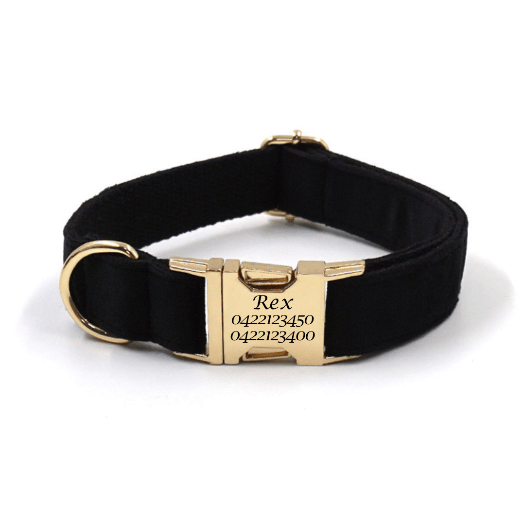 Luxury Velvet Dog Collar – Custom Engraved | Soft, Padded & Adjustable - Pet ID Tags
