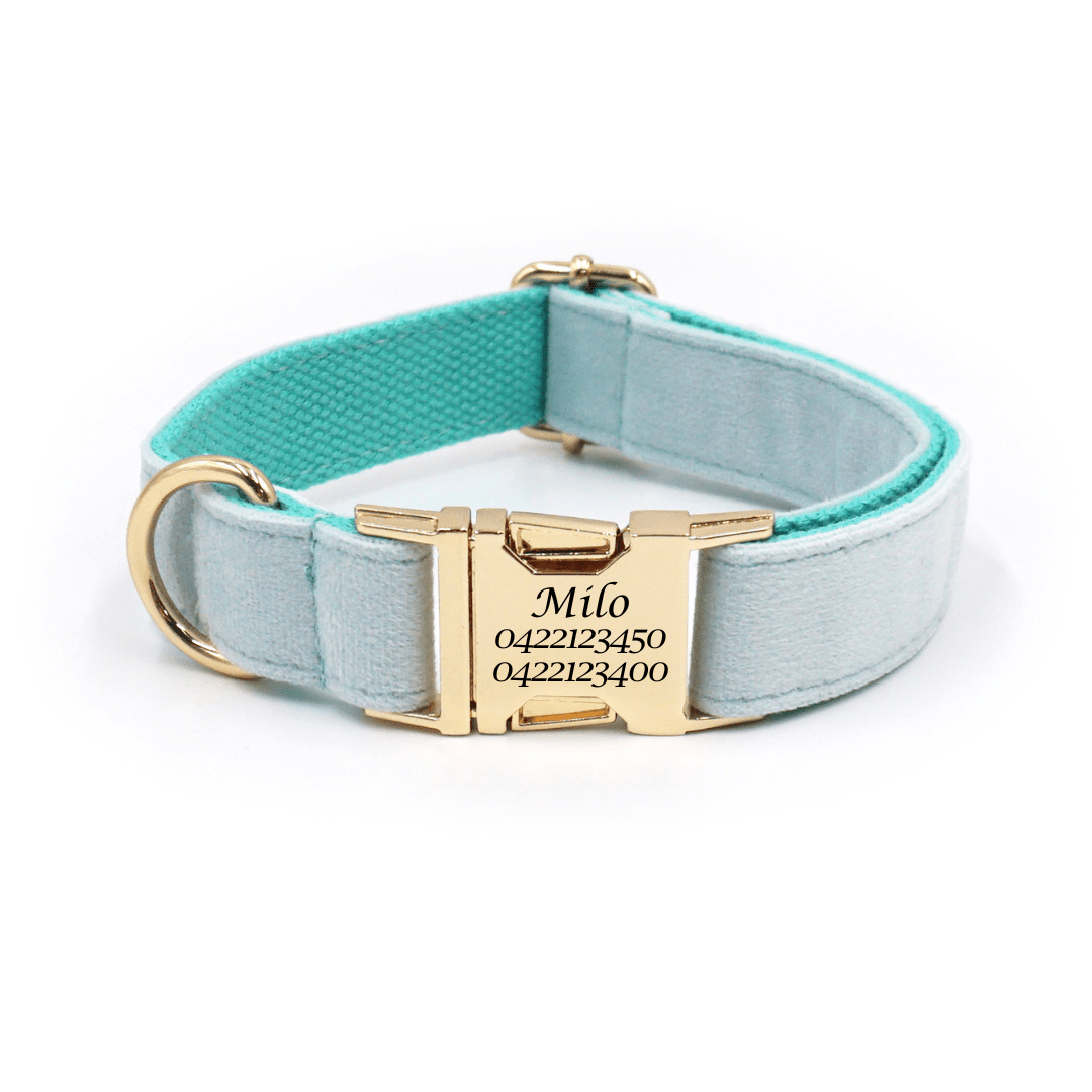 Luxury Velvet Dog Collar – Custom Engraved | Soft, Padded & Adjustable - Pet ID Tags