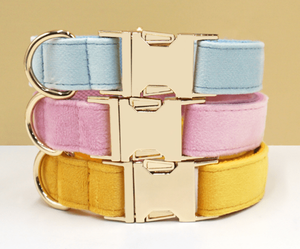 Luxury Velvet Dog Collar – Custom Engraved | Soft, Padded & Adjustable - Pet ID Tags