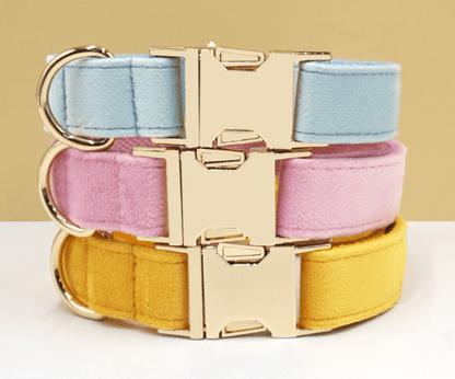 Luxury Velvet Dog Collar – Custom Engraved | Soft, Padded & Adjustable - Pet ID Tags