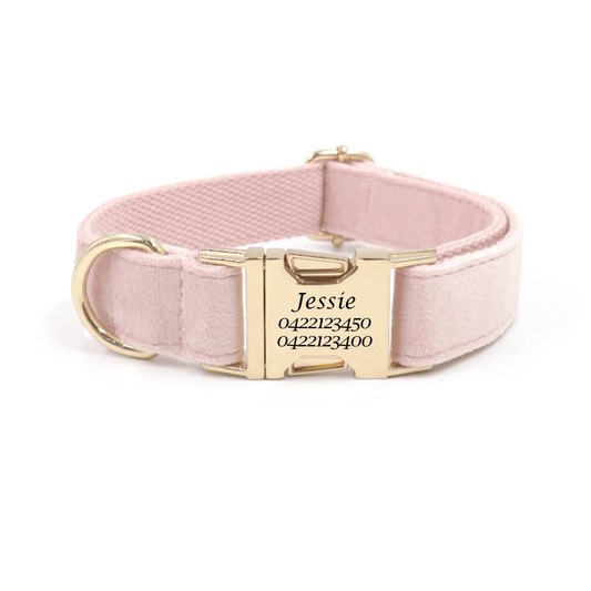 Luxury Velvet Dog Collar – Custom Engraved | Soft, Padded & Adjustable - Pet ID Tags